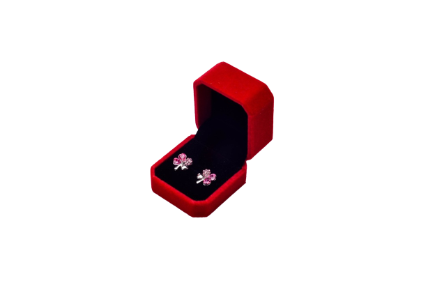 caja de pendientes roja